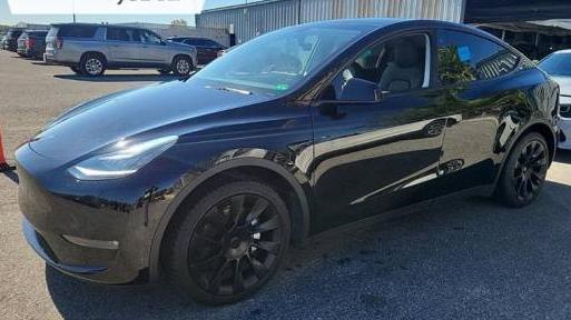 TESLA MODEL Y 2021 5YJYGDEE9MF194027 image